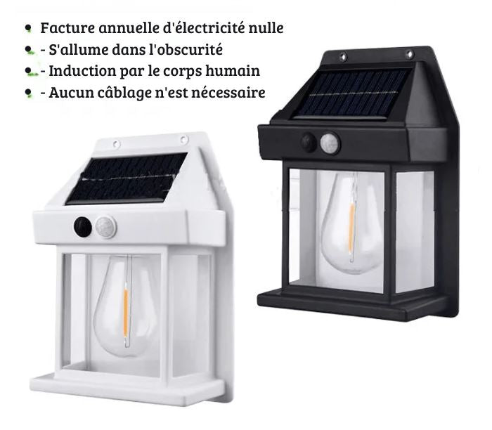 Lampe solaires